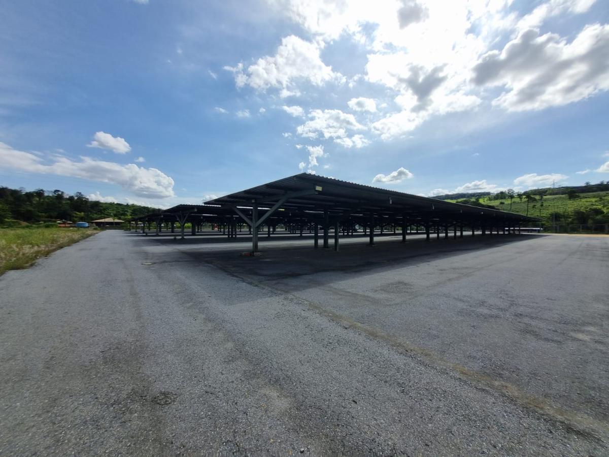 Lote, Angicos, 0 Quarto, 0 Vaga