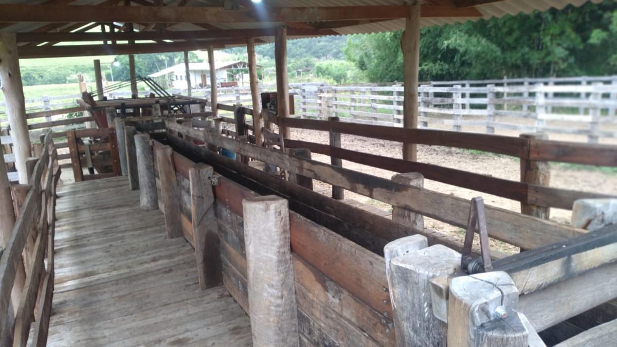 Fazenda, Zona Rural, 0 Quarto, 0 Vaga