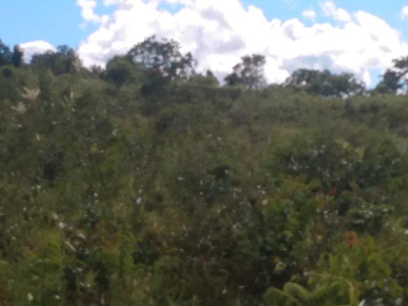 Fazenda, Centro, 3 Quartos, 0 Vaga