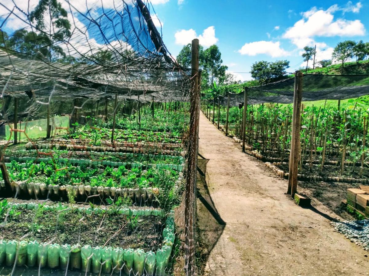 Lote em Condomínio, Alphaville - Lagoa dos Ingleses, 0 Quarto, 0 Vaga, 0 Suíte