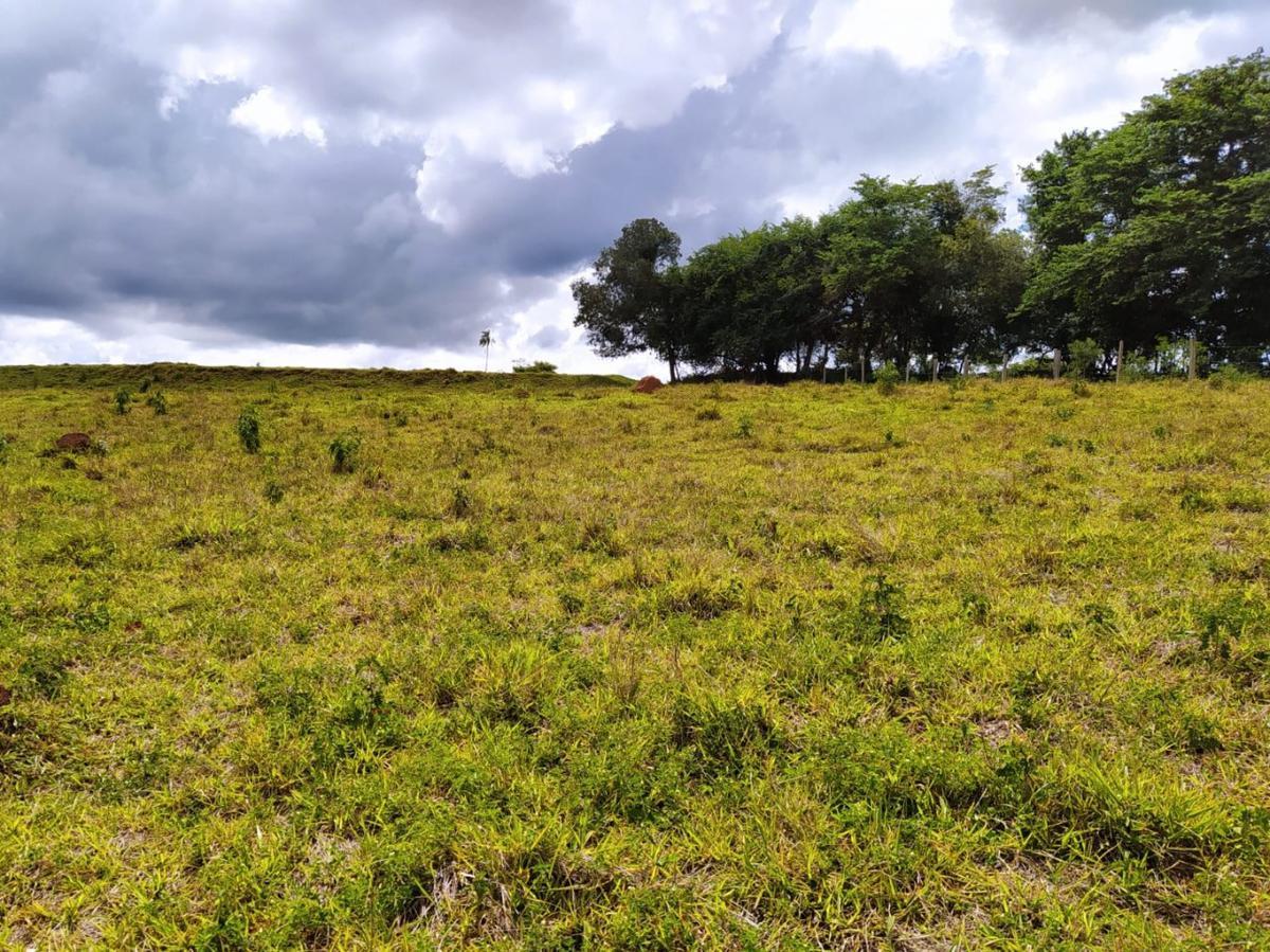 Fazenda, Centro, 1 Quarto, 1 Vaga