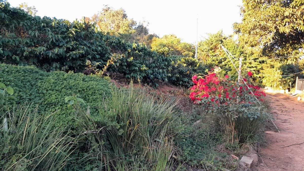 Fazenda, Zona Rural, 0 Quarto, 0 Vaga