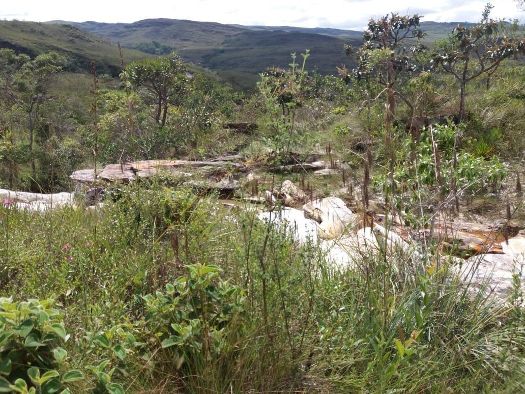 Fazenda, Centro, 0 Quarto, 0 Vaga