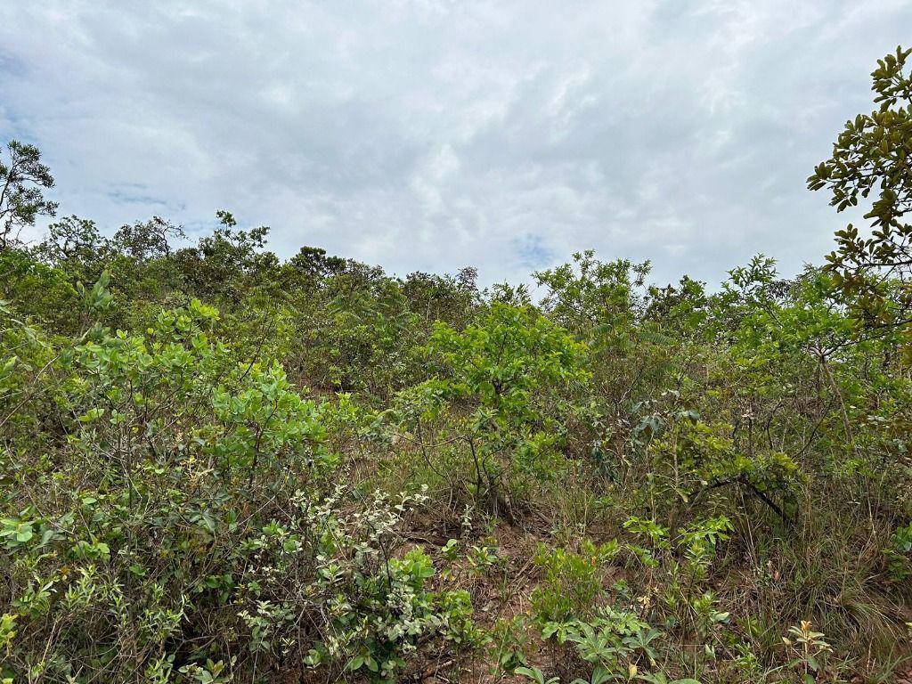 Lote, Santo Antônio (roça Grande), 0 Quarto, 0 Vaga