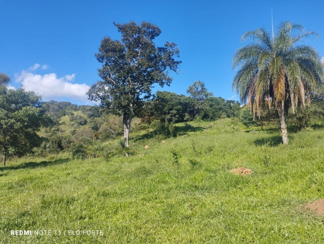 Fazenda, Zona Rural, 0 Quarto, 0 Vaga