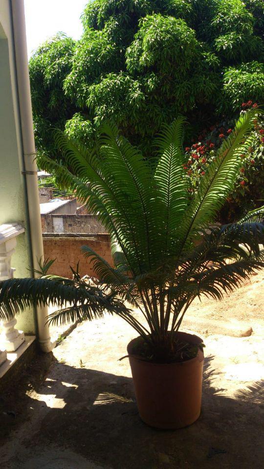 Casa, Céu Azul, 5 Quartos, 3 Vagas, 1 Suíte