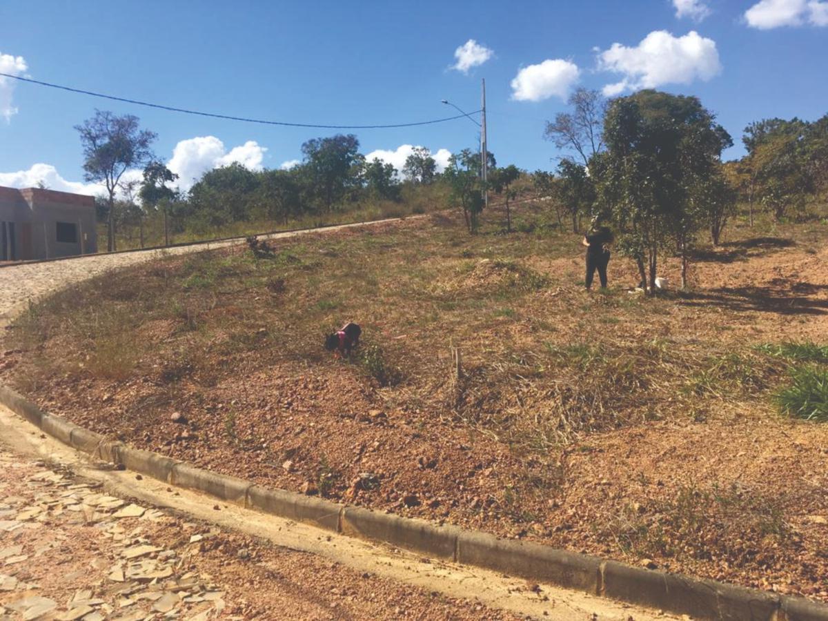 Lote, Centro, 0 Quarto, 0 Vaga