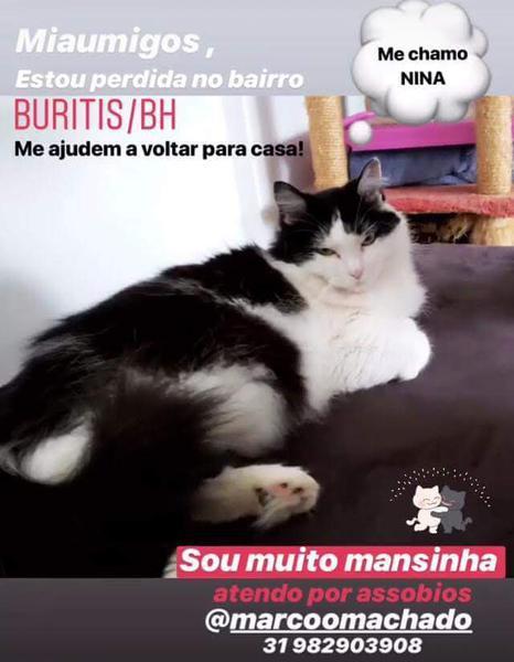 Procura-se Nina - Me Ajude a Volta Para Casa