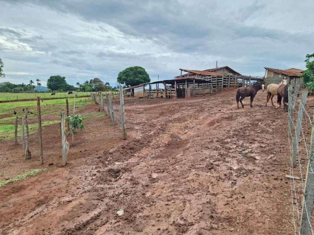 Fazenda, Zona Rural, 0 Quarto, 0 Vaga