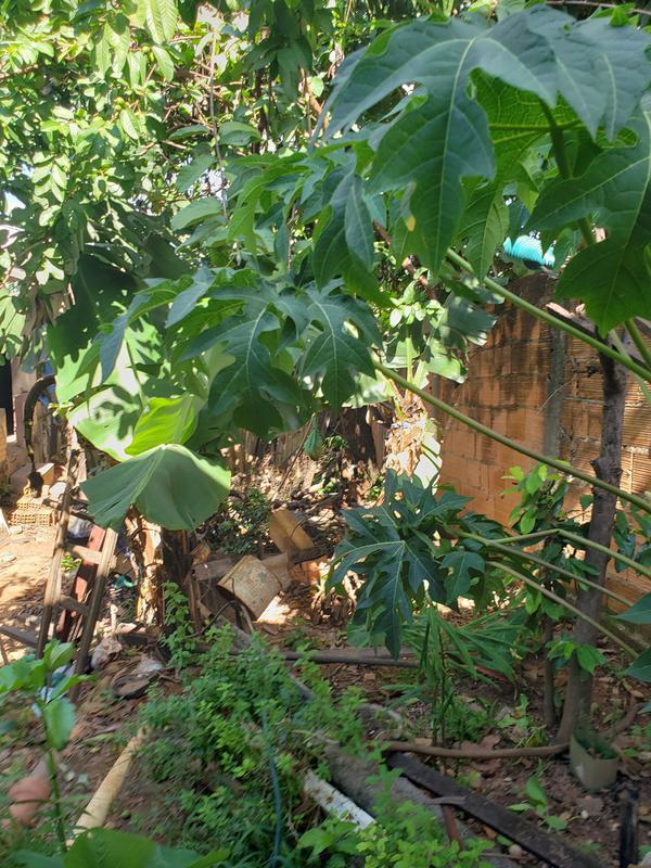 Casa, Novo Progresso, 2 Quartos