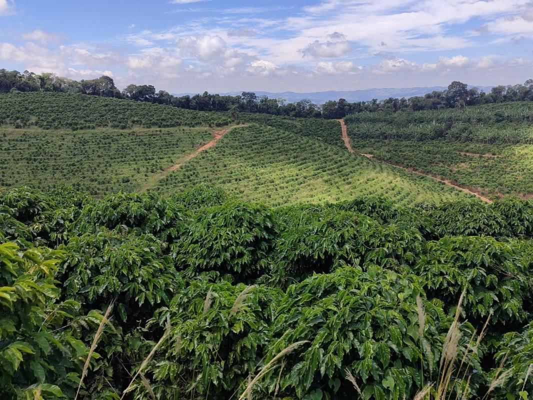 Fazenda, Zona Rural, 0 Quarto, 0 Vaga