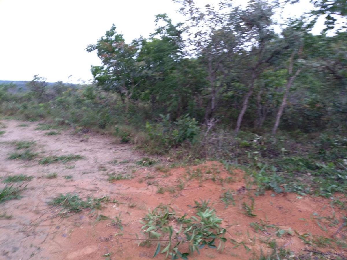 Lote, Zona Rural, 0 Quarto, 0 Vaga
