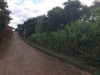 Lote, Nacional, 0 Quarto, 0 Vaga