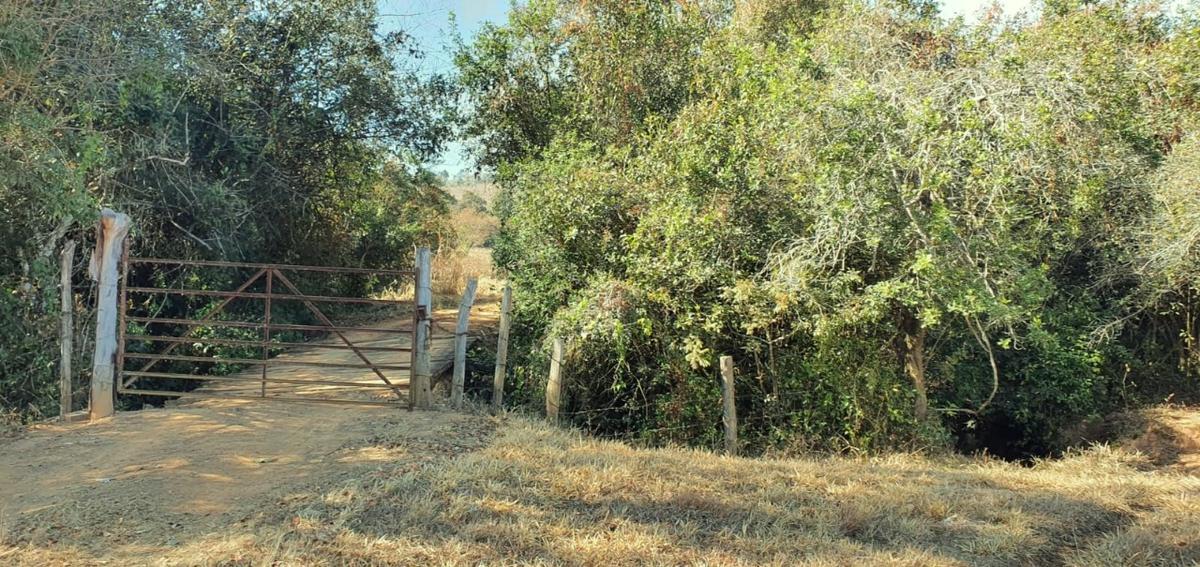 Fazenda, Centro, 1 Quarto, 21 Vagas, 1 Suíte