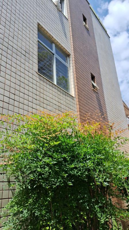 Apartamento, Itapoã, 3 Quartos, 1 Vaga, 1 Suíte