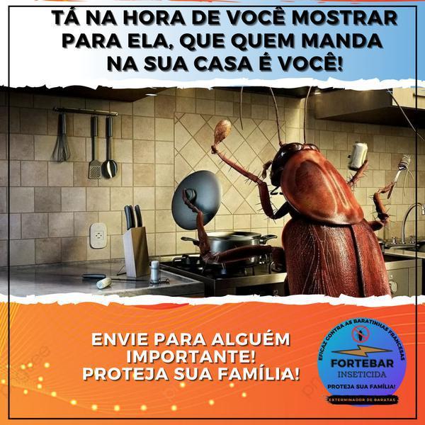 Livre-se das Baratinhas Francesas