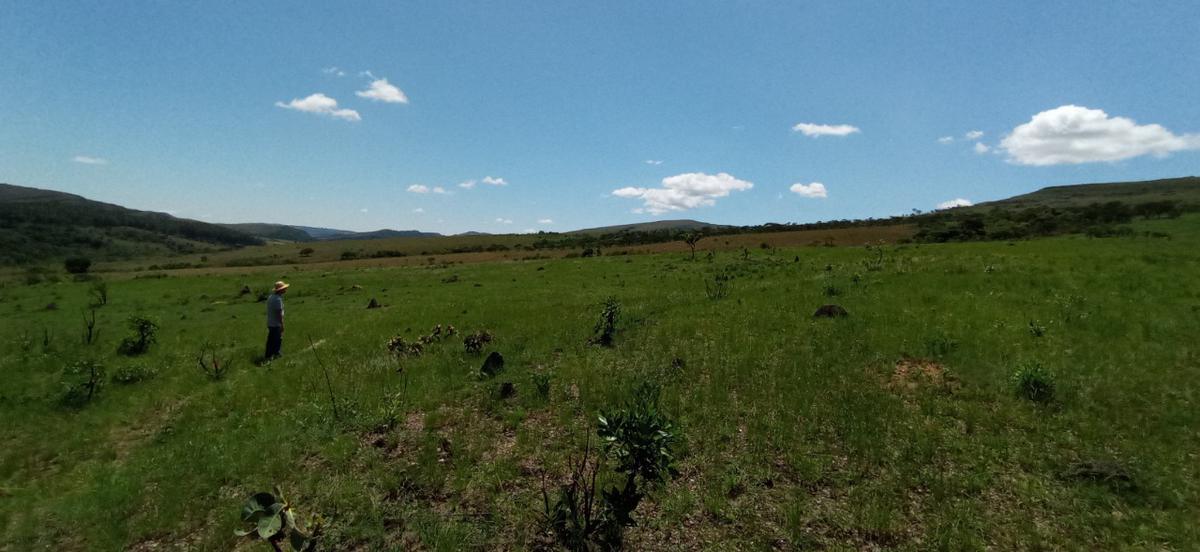 Fazenda, Zona Rural, 0 Quarto, 0 Vaga