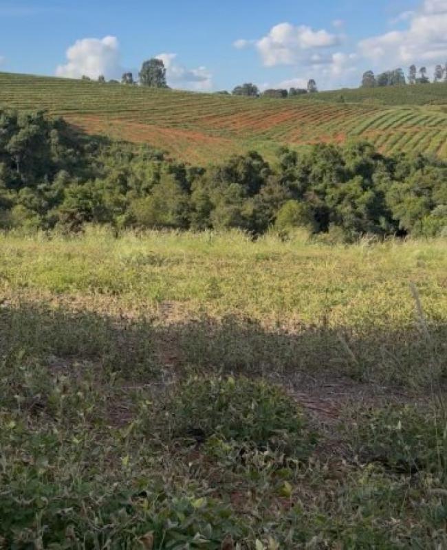 Fazenda, Zona Rural, 0 Quarto, 0 Vaga