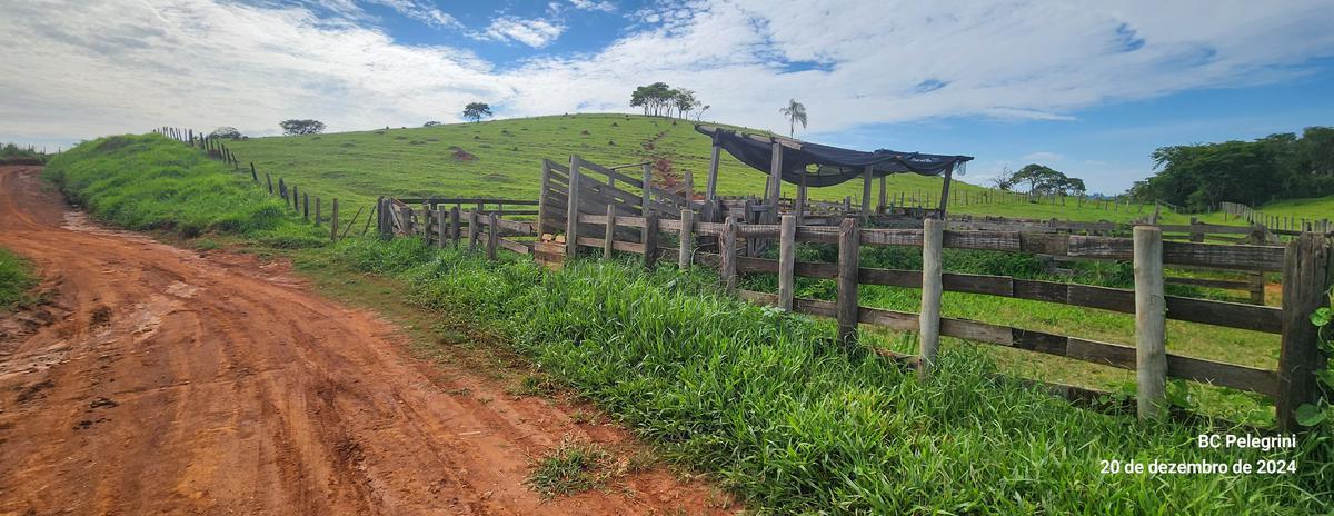 Fazenda, Zona Rural, 0 Quarto, 0 Vaga
