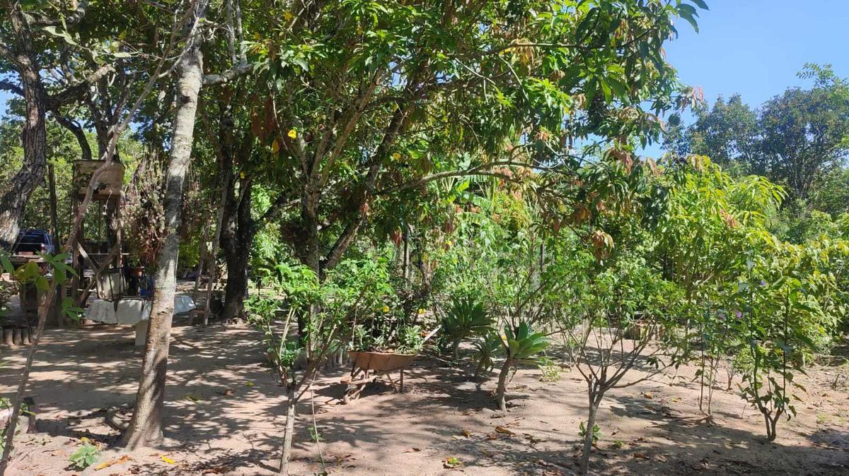 Fazenda, Centro, 2 Quartos, 15 Vagas