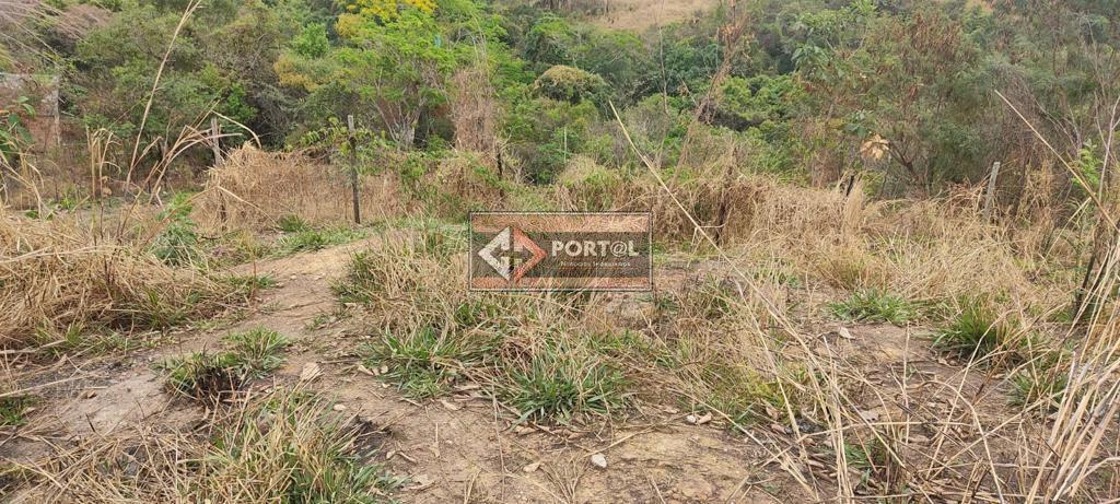 Lote, Santa Maria, 0 Quarto, 0 Vaga