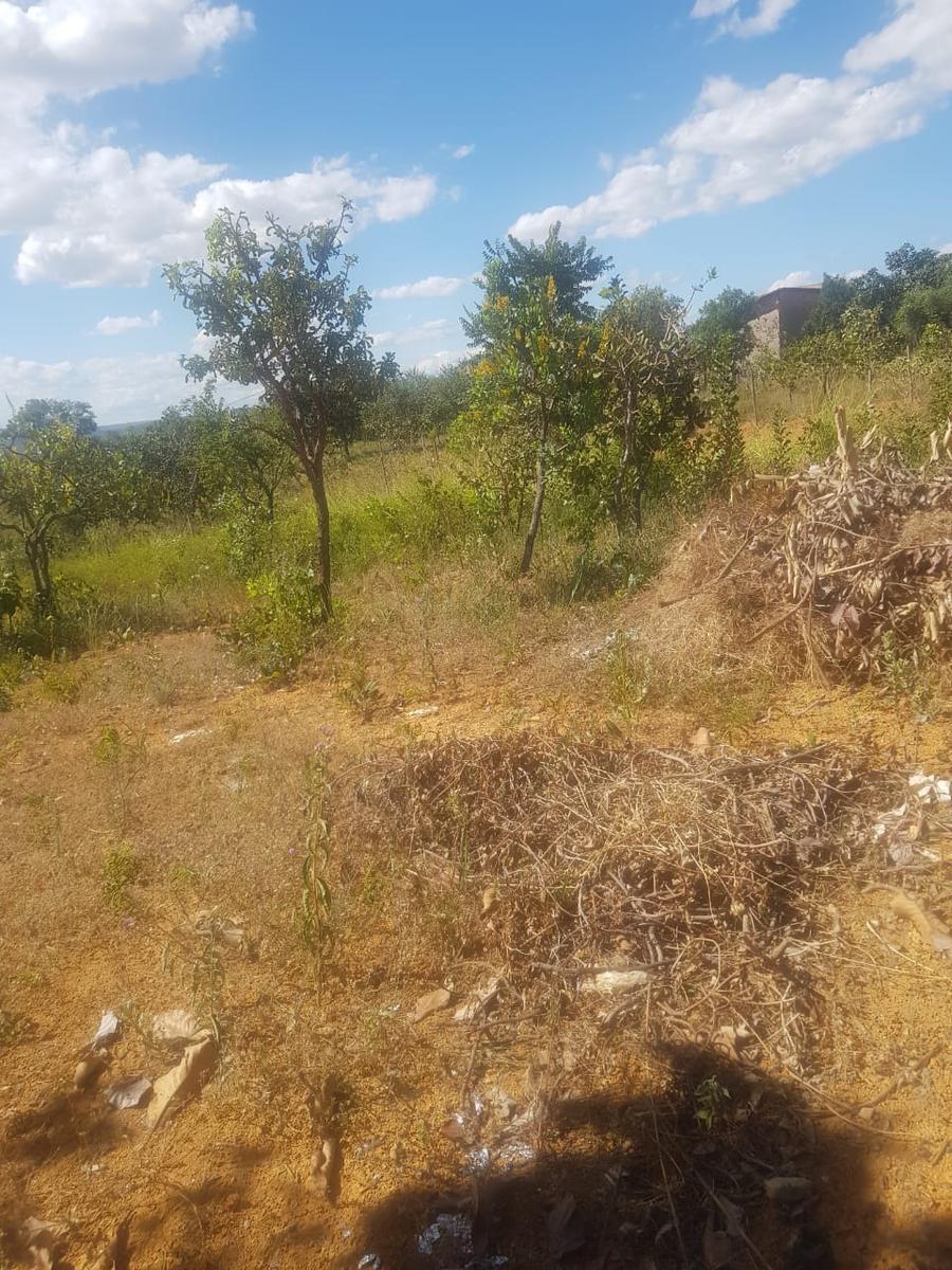Fazenda, Centro, 1 Quarto, 0 Vaga