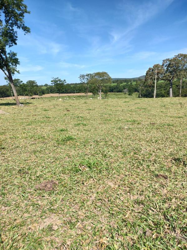 Fazenda, Centro, 0 Quarto, 0 Vaga