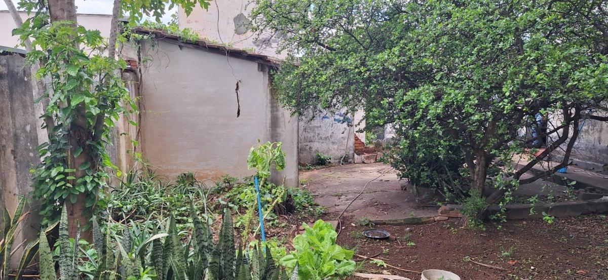 Casa, Vila Pinto, 3 Quartos, 3 Vagas