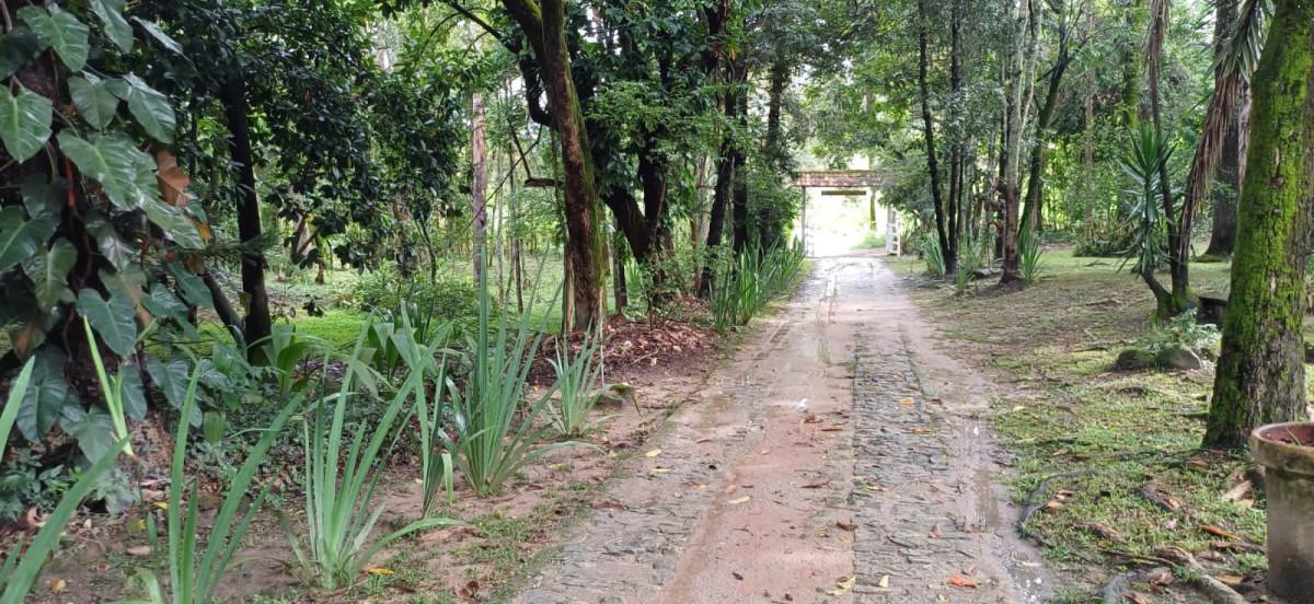 Fazenda, Bambus, 3 Quartos, 10 Vagas