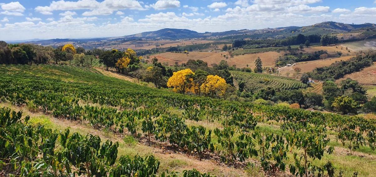Fazenda, Centro, 2 Quartos, 1 Vaga, 1 Suíte