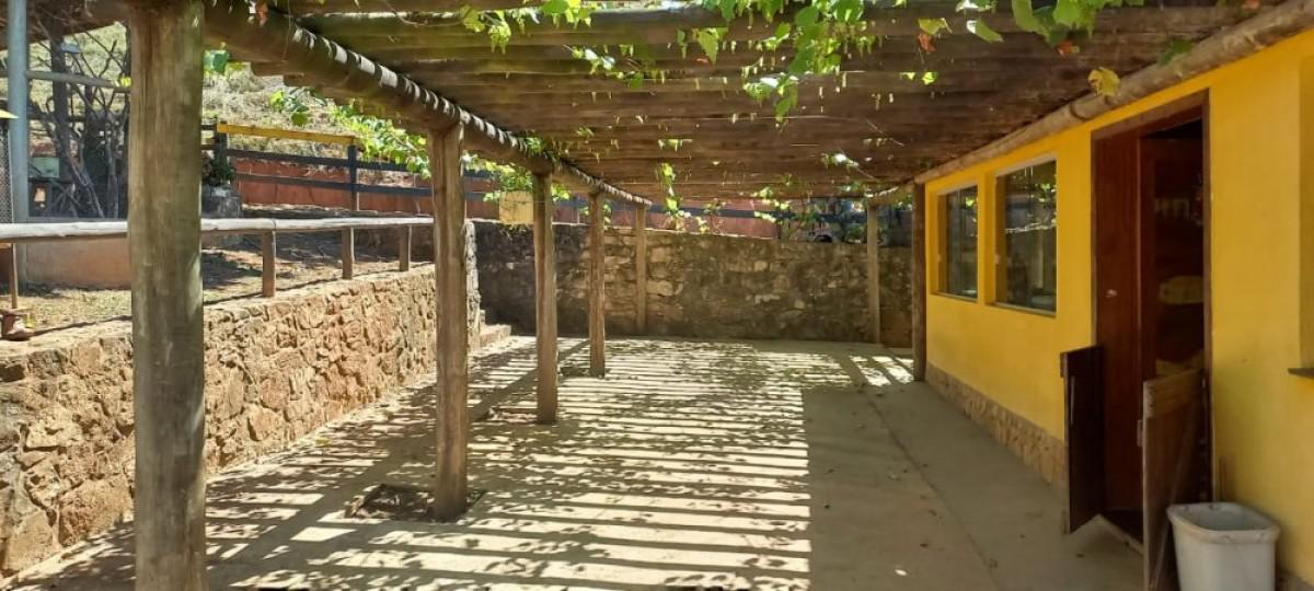 Fazenda, Centro, 0 Quarto, 0 Vaga