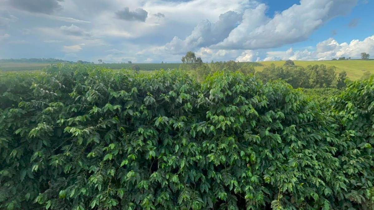 Fazenda, Zona Rural, 0 Quarto, 0 Vaga
