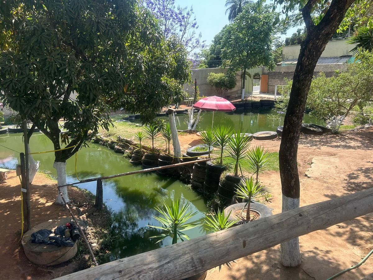 Lote, Trevo, 5 Quartos, 5 Vagas