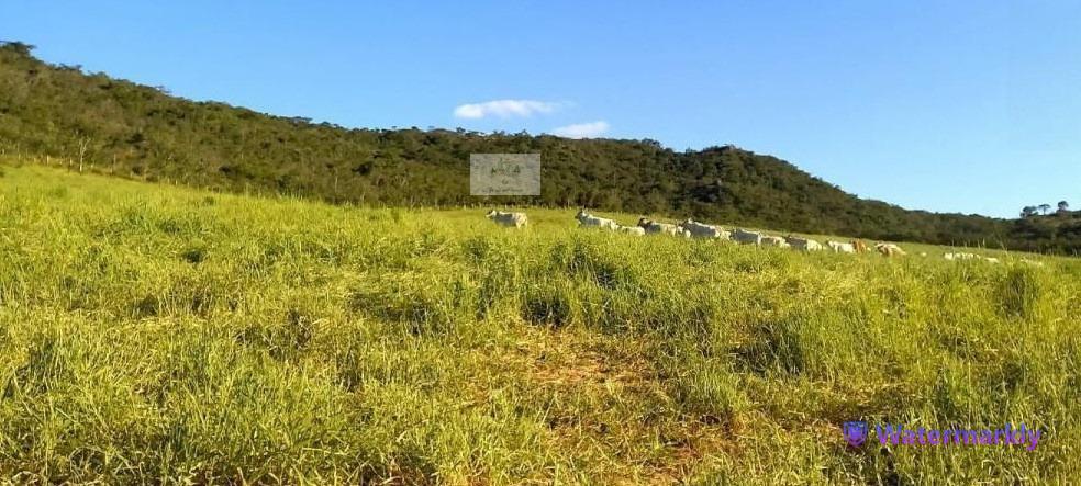 Fazenda, Centro, 5 Quartos, 2 Vagas