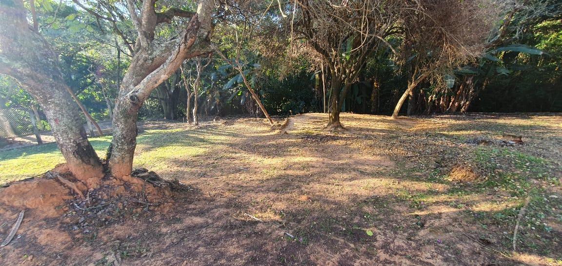 Lote, Marmeleiros, 0 Quarto, 0 Vaga