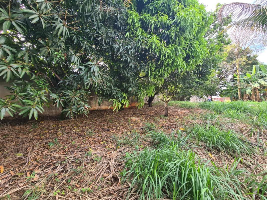 Lote, Jardim Atlântico, 0 Quarto, 0 Vaga