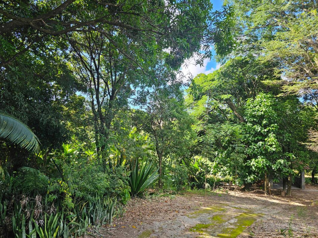 Fazenda, Chácara Cotia, 3 Quartos, 20 Vagas
