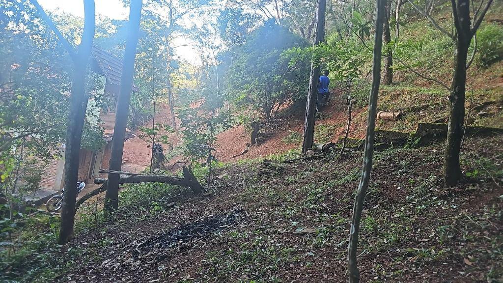 Fazenda, Morro da Cruz, 4 Quartos, 0 Vaga