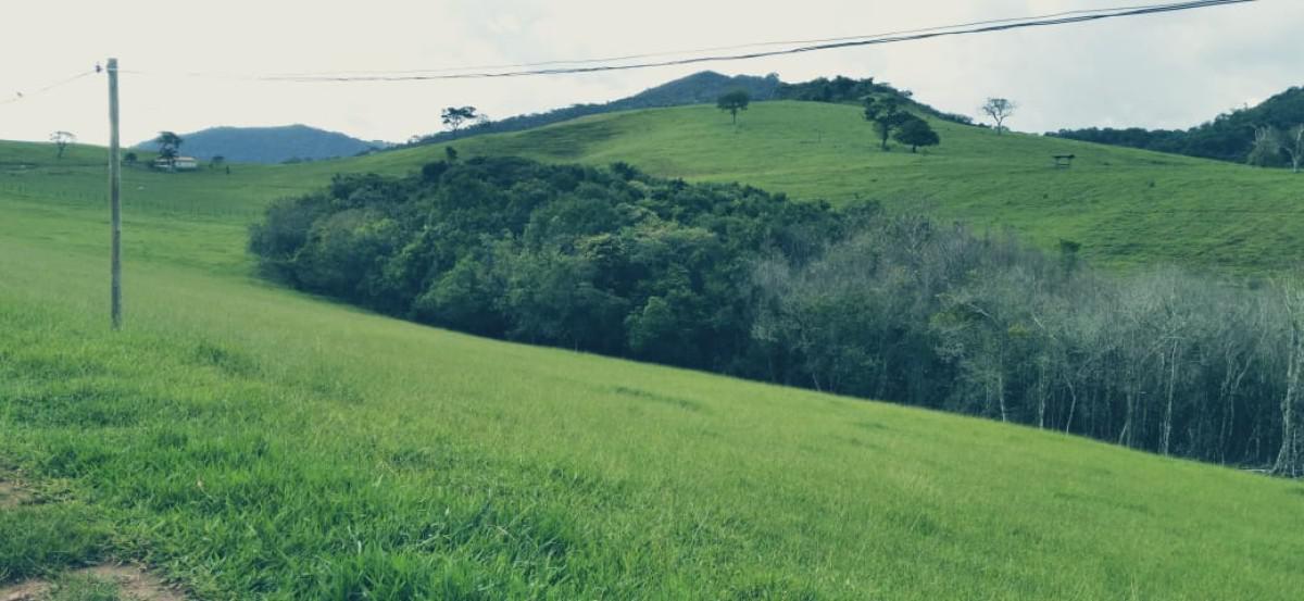 Fazenda, Zona Rural, 3 Quartos, 0 Vaga