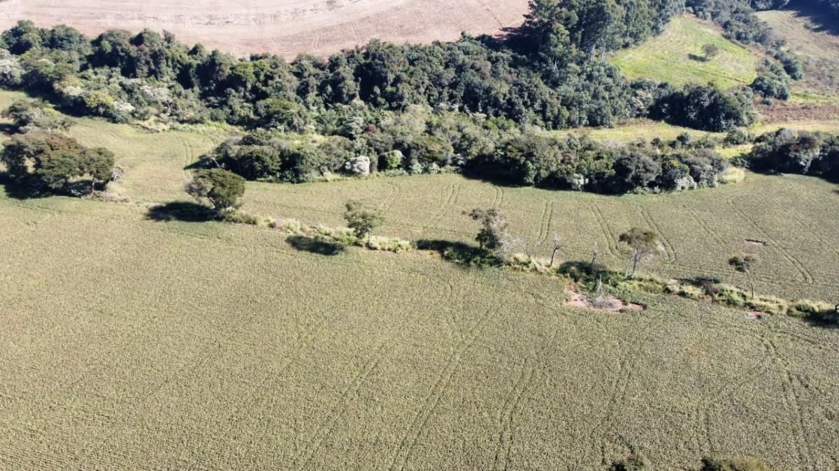 Fazenda, Centro, 0 Quarto, 0 Vaga