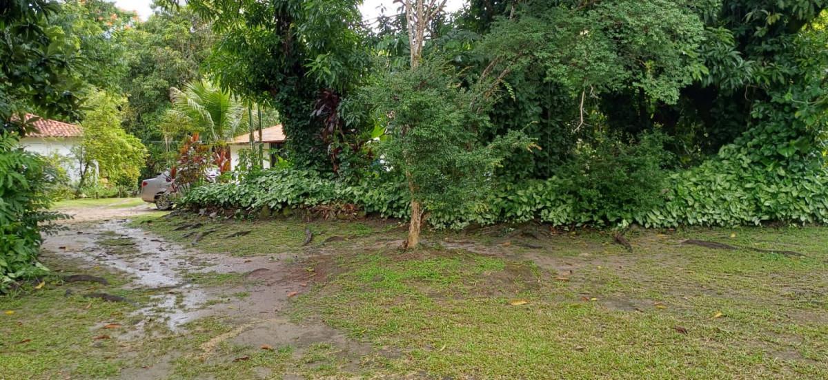 Fazenda, Bambus, 3 Quartos, 10 Vagas
