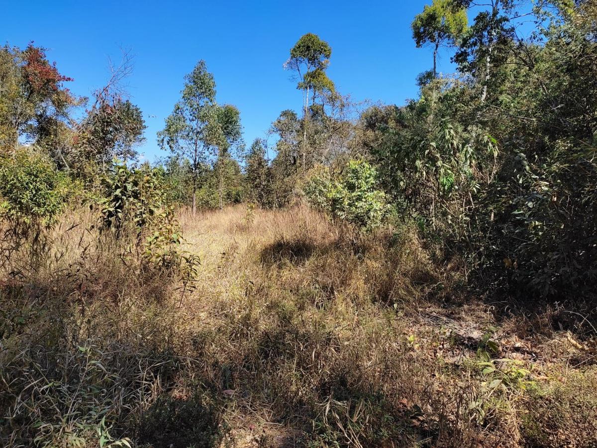 Lote, Penedo, 0 Quarto, 0 Vaga