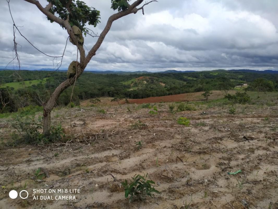 Fazenda, Centro, 0 Quarto, 0 Vaga