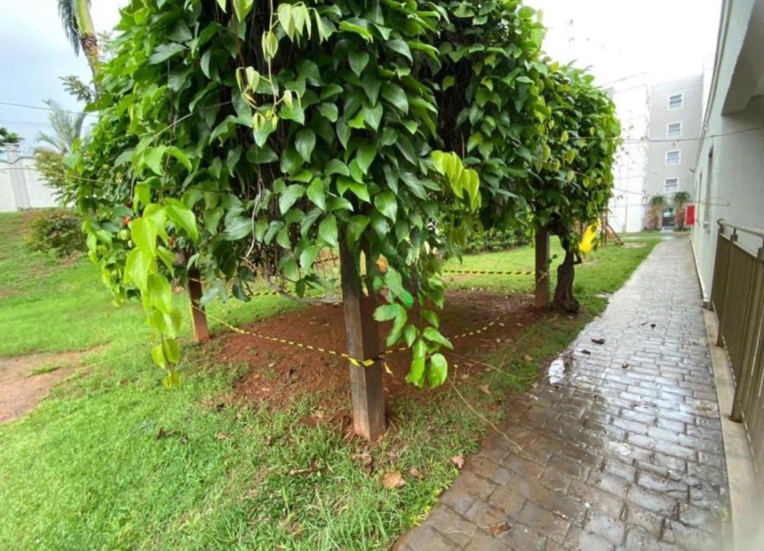 Apartamento, Bandeirantes (pampulha), 2 Quartos, 1 Vaga