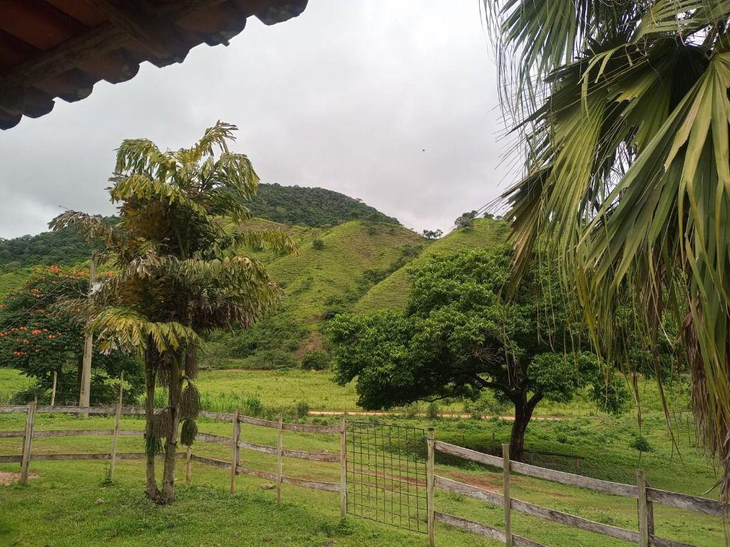 Fazenda, Centro, 3 Quartos, 0 Vaga, 1 Suíte