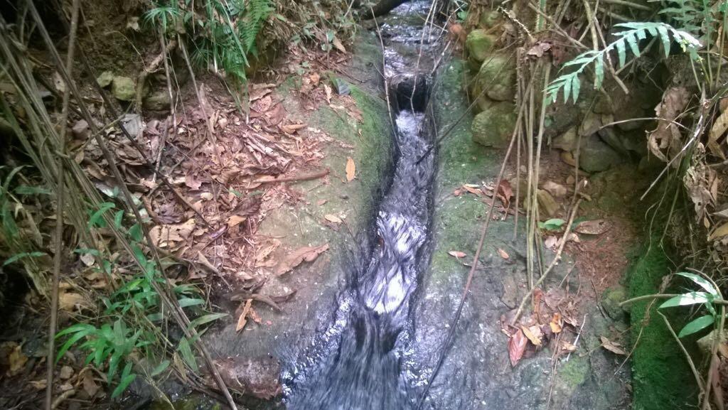 Fazenda, Centro, 3 Quartos, 10 Vagas, 1 Suíte