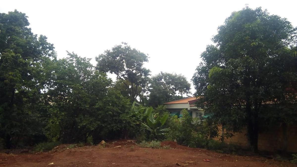 Lote, Trevo, 0 Quarto, 0 Vaga