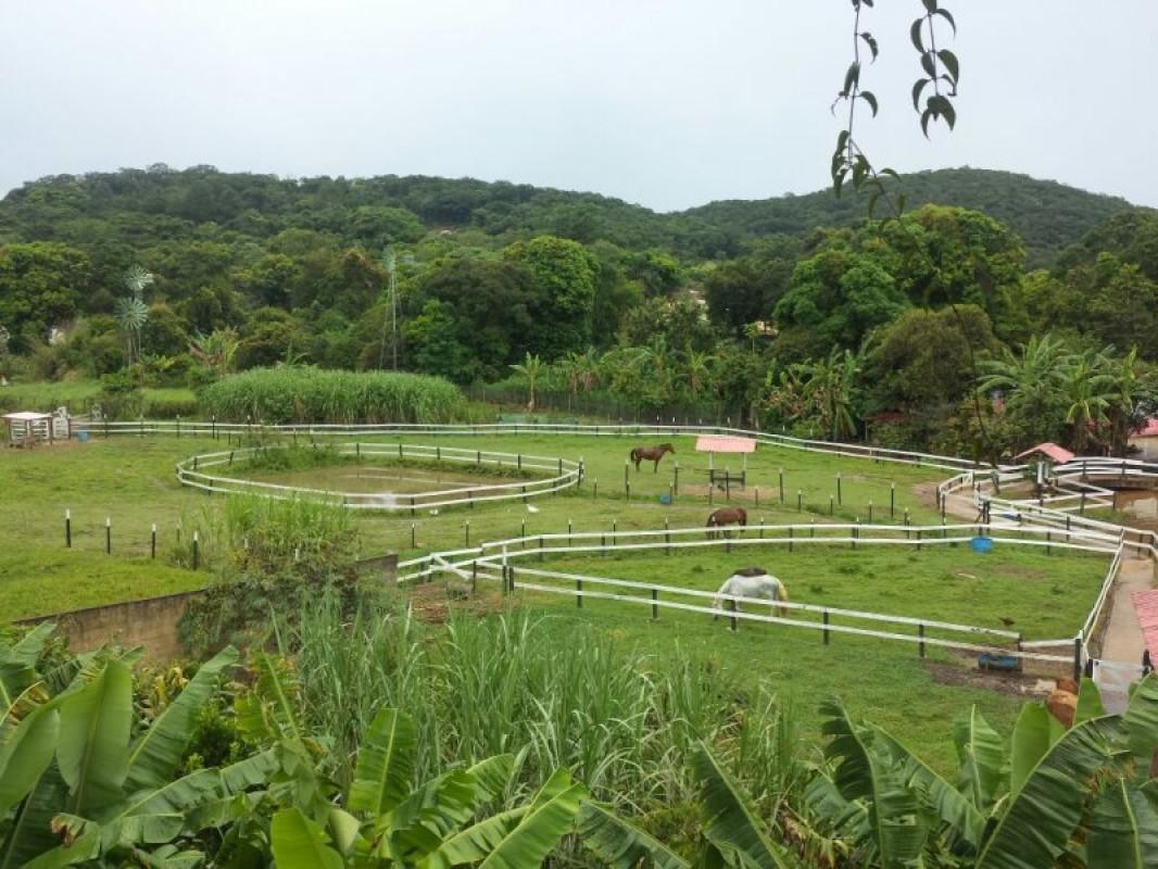 Fazenda, Califórnia, 5 Quartos, 3 Vagas, 1 Suíte