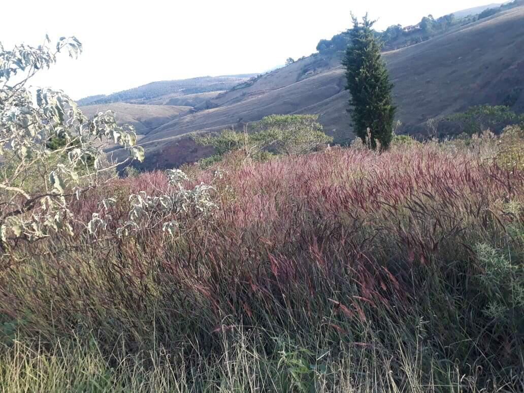 Lote, Vale dos Pinhais, 0 Quarto, 0 Vaga