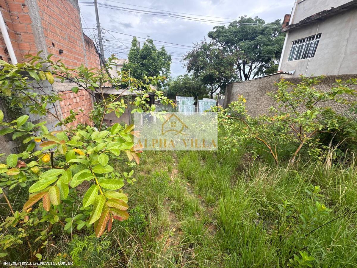 Lote, Jardim Vitória, 0 Quarto, 0 Vaga
